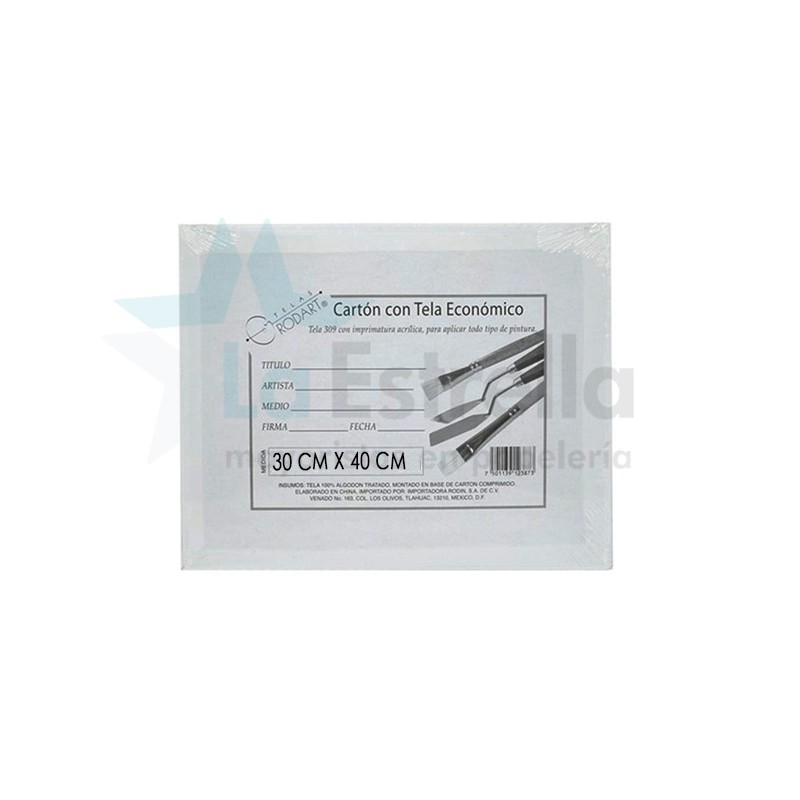 CARTON C/ TELA ECONOMICO RODIN RODART 30 CM X 40 CM 12260 /6/48