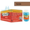 PINTURA ACRIL POLITEC ESC 100 ML CANELA RODIN 339 /6