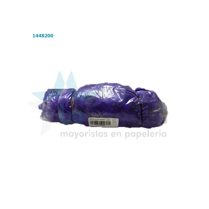 PLUMAS DE AVE MORADO