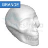 CRANEO GRANDE DE UNICEL 20.1x15.5x15 CMS /15/60
